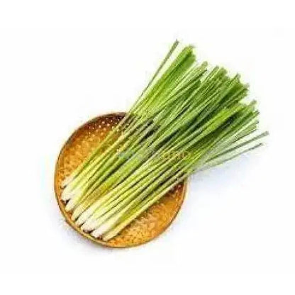 Lemongrass Liquid Extract (Water Soluble) - Cymbopogon| Hari Chai Ras - Bulk Supplier India