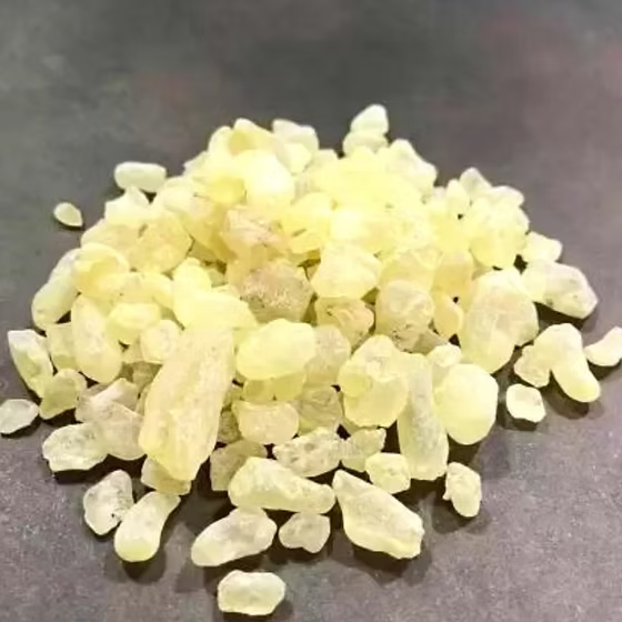 Damar Gum Extract Powder - Shorea robusta - Bulk Supplier India