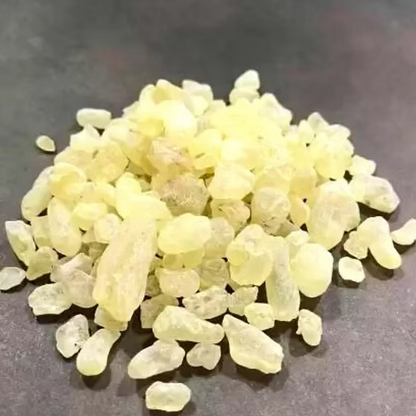 Damar Gum Extract Powder - Shorea robusta - Bulk Supplier India