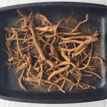 Dandelion Root Liquid Extract (Water Soluble) - Taraxacum officinale | Kanphool - Bulk Supplier India