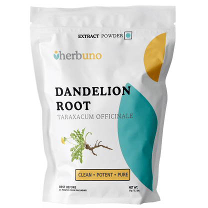 Dandelion Root Extract Powder - Taraxacum officinale| Singhparni Jad Powder - Bulk Supplier India