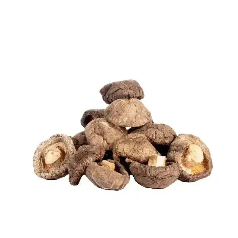 Vitamin D2 (>8000 IU/g) — from Shiitake - Bulk Supplier India