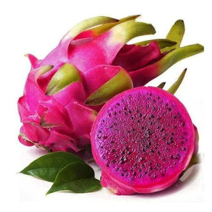 Dragon Fruit Liquid Extract (Water Soluble) - Selenicereus undatus - Bulk Supplier India