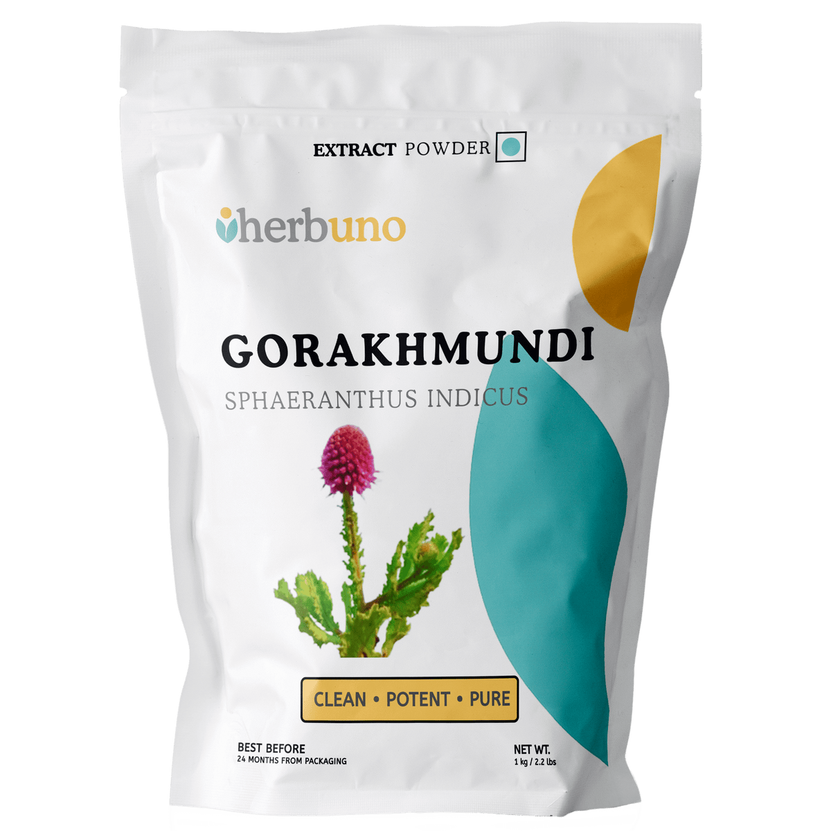 East Indian Globe Thistle (Gorakhmundi) Extract Powder - Bulk Supplier India