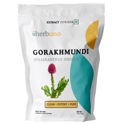 East Indian Globe Thistle (Gorakhmundi) Extract Powder - Bulk Supplier India