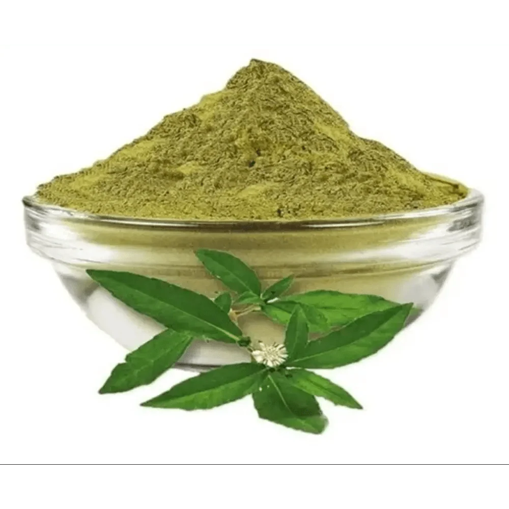 Eclipta prostrata (Bhringraj) Extract Powder | Kesharaja - Bulk Supplier India