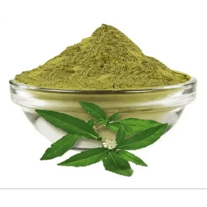 Eclipta prostrata (Bhringraj) Extract Powder | Kesharaja - Bulk Supplier India