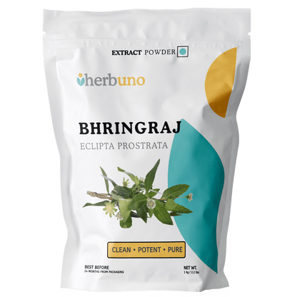 Eclipta prostrata (Bhringraj) Extract Powder | Kesharaja - Bulk Supplier India