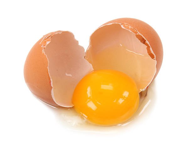 Egg IgY Powder - Gallus gallus domesticus - Bulk Supplier India