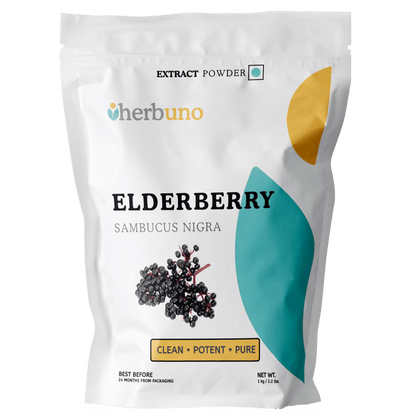 Elderberry Extract Powder - Sambucus nigra - Bulk Supplier India