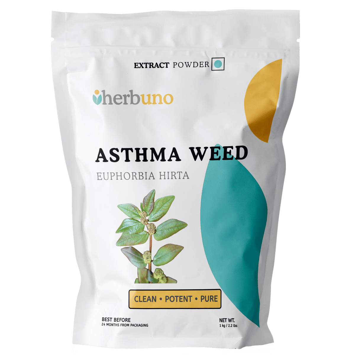 Euphorbia Hirta (Asthma Weed) Extract Powder - Bulk Supplier India