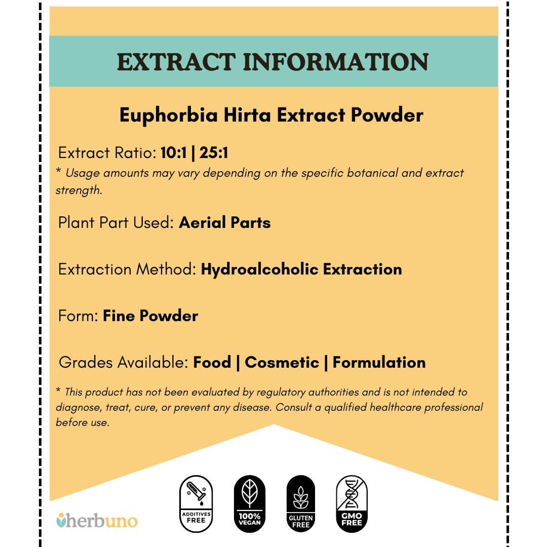 Euphorbia Hirta (Asthma Weed) Extract Powder - Bulk Supplier India