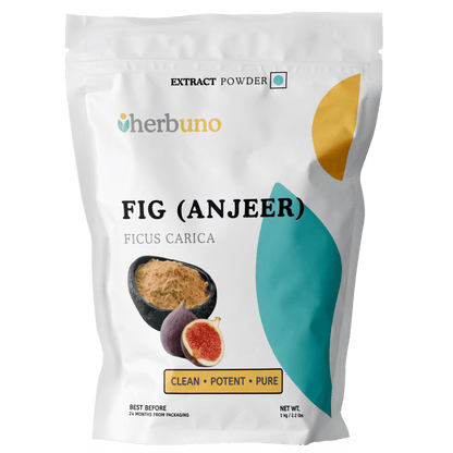 Fig Fruit Extract Powder - Ficus carica - Bulk Supplier India