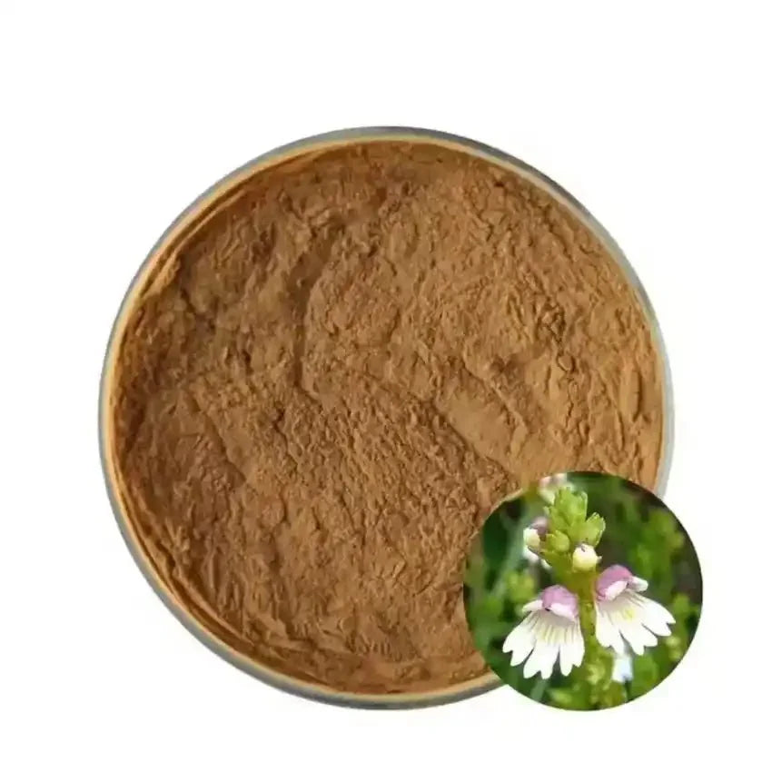 Fumitory Extract Powder - Fumaria Officinalis - Bulk Supplier India