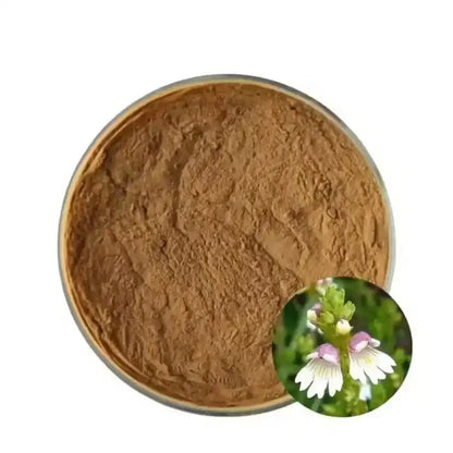 Fumitory Extract Powder - Fumaria Officinalis - Bulk Supplier India