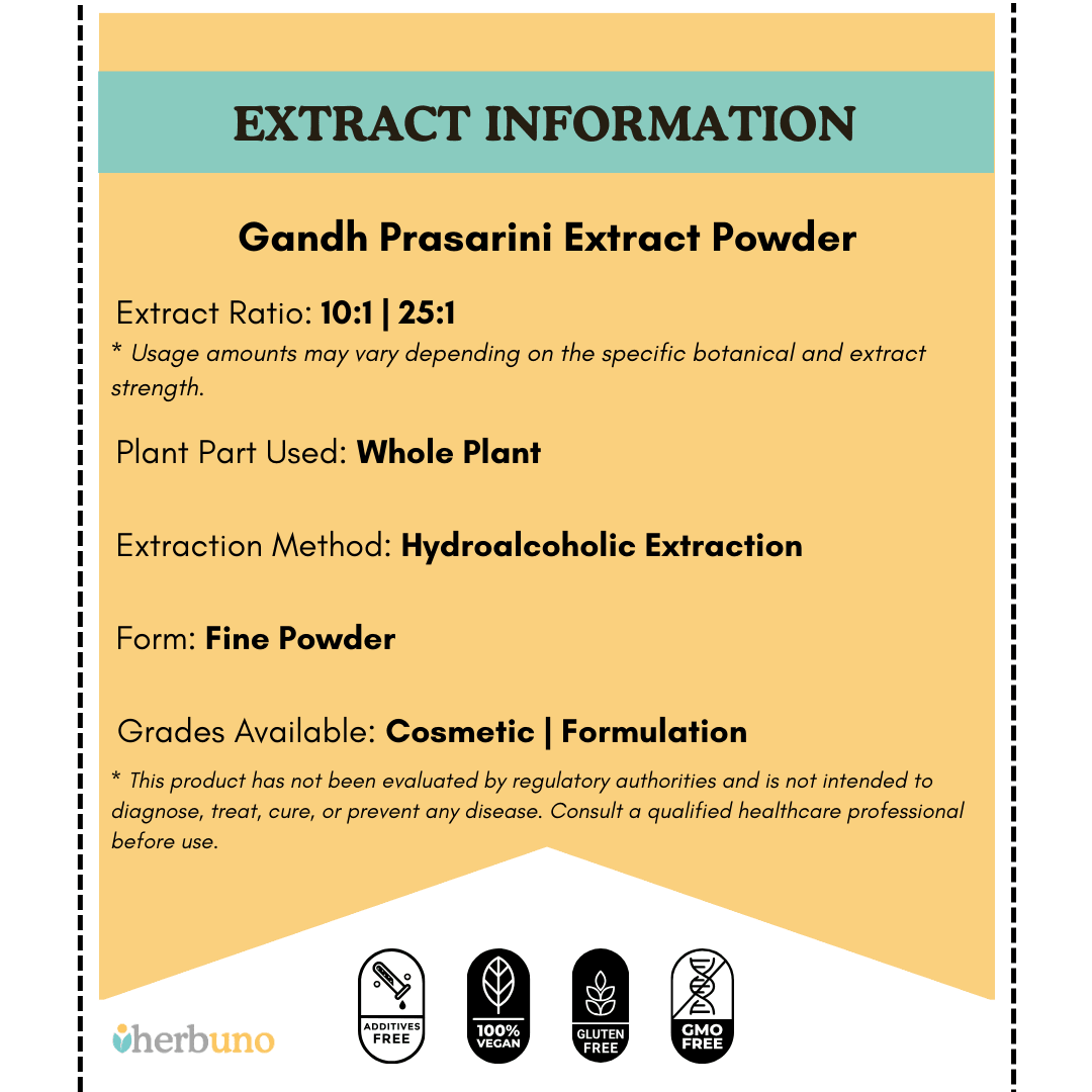 Gandh Prasarini Extract Powder - Paederia Foetida - Bulk Supplier India