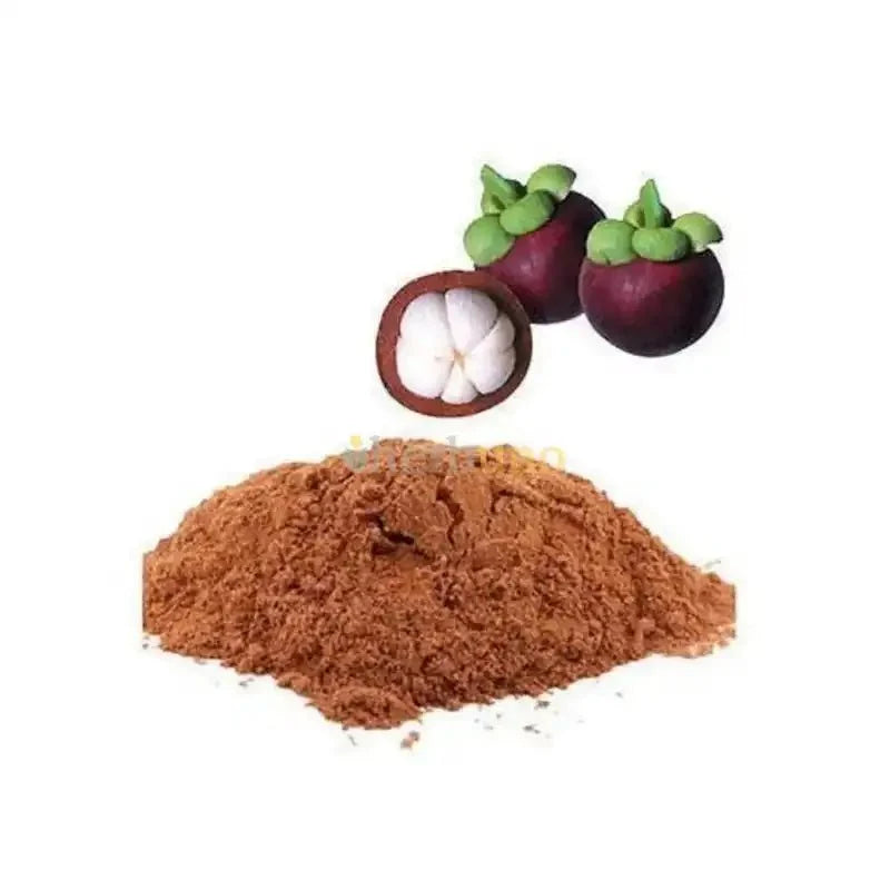 Garcinia mangostana (Mangosteen) Extract Powder - Bulk Supplier India