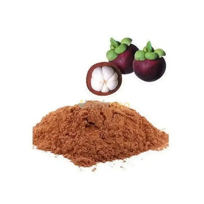 Garcinia mangostana (Mangosteen) Extract Powder - Bulk Supplier India