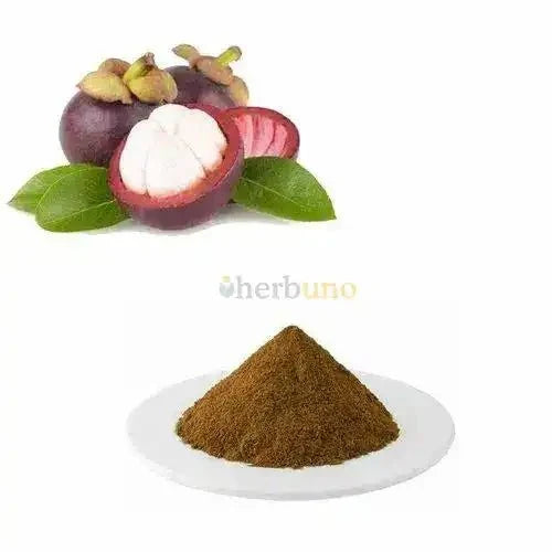 Garcinia mangostana (Mangosteen) Extract Powder - Bulk Supplier India