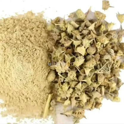Gokshura Extract Powder - Tribulus Terrestris | Gokhru - Bulk Supplier India