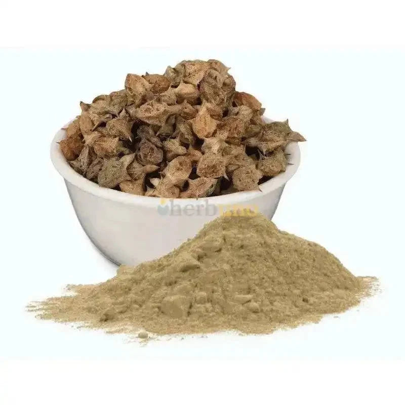 Gokshura Extract Powder - Tribulus Terrestris | Gokhru - Bulk Supplier India
