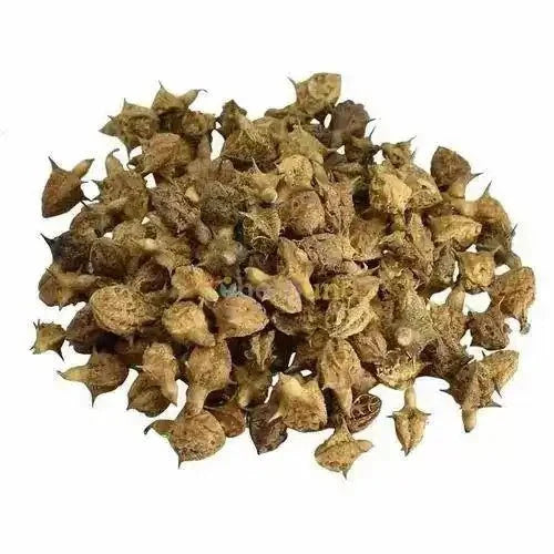 Gokhru Liquid Extract (Water Soluble) - Tribulus Terrestris| Gokhru Ras - Bulk Supplier India
