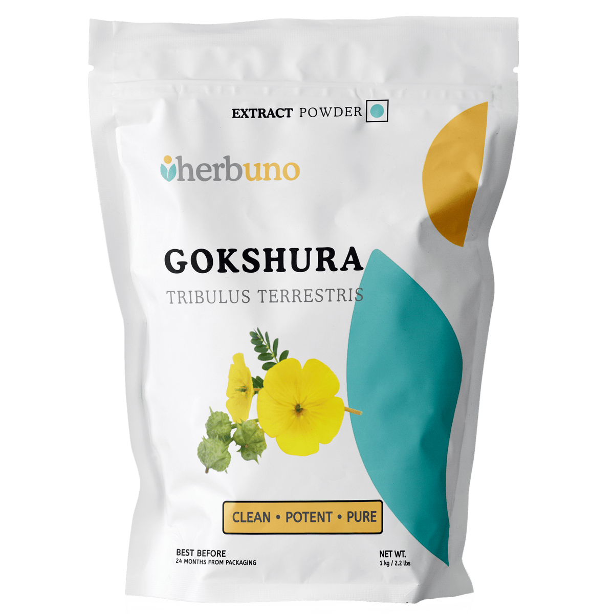 Gokshura Extract Powder - Tribulus Terrestris | Gokhru - Bulk Supplier India