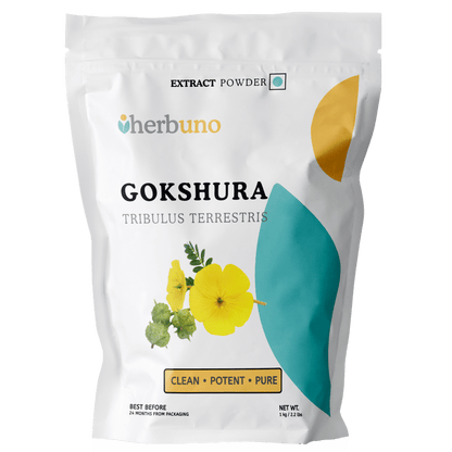 Gokshura Extract Powder - Tribulus Terrestris | Gokhru - Bulk Supplier India