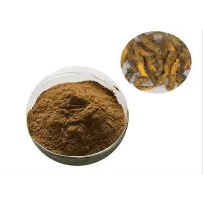 Goldenseal Extract Powder - Bulk Supplier India