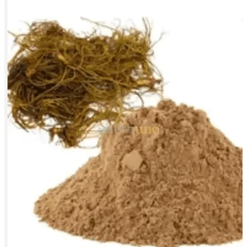 Goldenseal Extract Powder - Bulk Supplier India