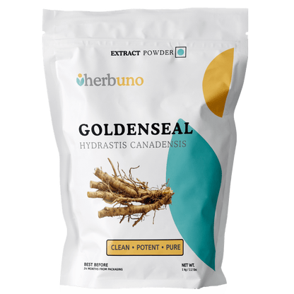 Goldenseal Extract Powder - Bulk Supplier India