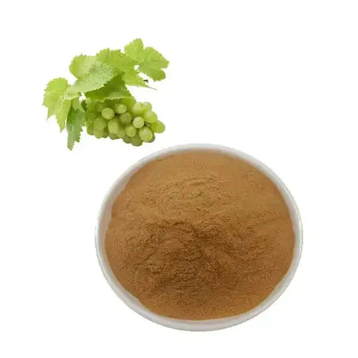 Grape Leaf Extract Powder - Bulk Supplier India