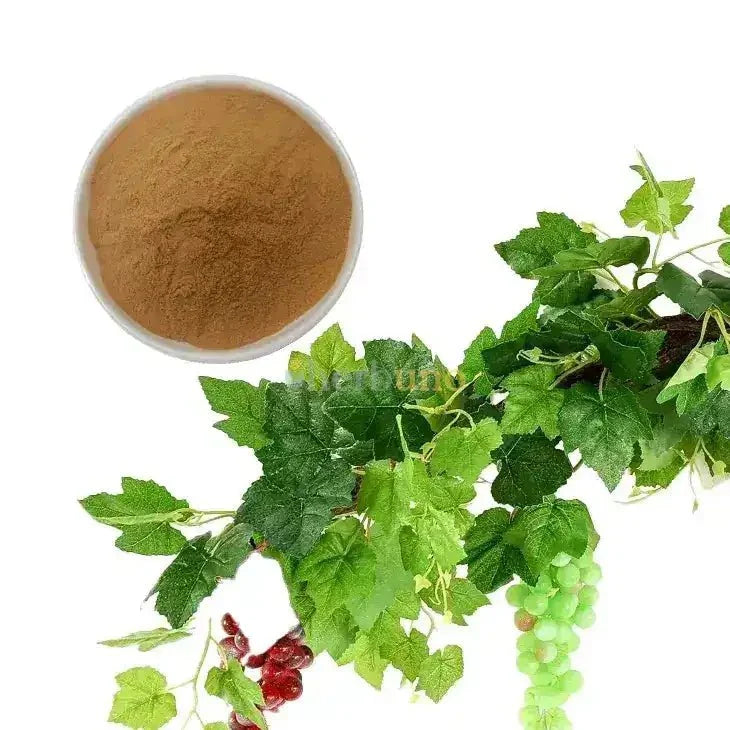 Grape Leaf Extract Powder - Bulk Supplier India