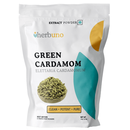 Green Cardamom Extract Powder - Elettaria cardamomum| Chhoti Elaichi Powder - Bulk Supplier India
