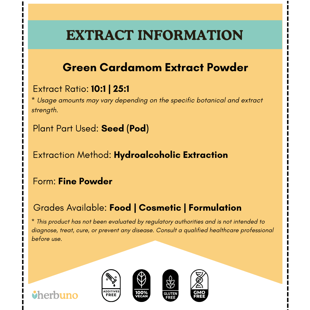 Green Cardamom Extract Powder - Elettaria cardamomum| Chhoti Elaichi Powder - Bulk Supplier India