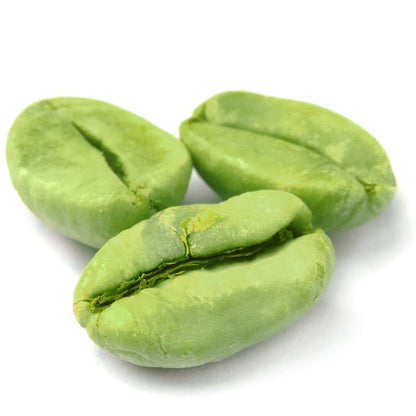 Green Coffee Extract Powder - Coffea arabica - Bulk Supplier India
