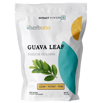 Guava Leaf Extract Powder - Psidium guajava| Amrood Patta Powder - Bulk Supplier India