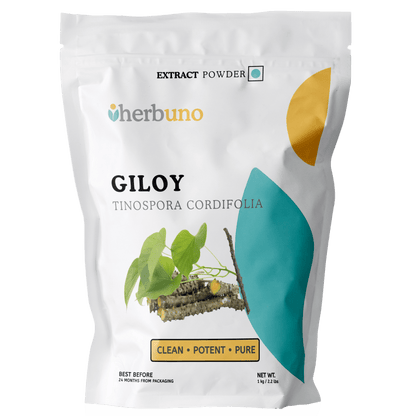 Guduchi (Giloy) Extract Powder - Bulk Supplier India