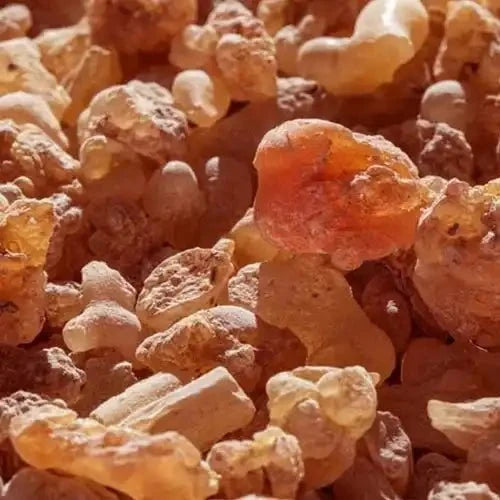 Guggul Liquid Extract (Water Soluble) - Commiphora wightii | Indian Bdellium - Bulk Supplier India