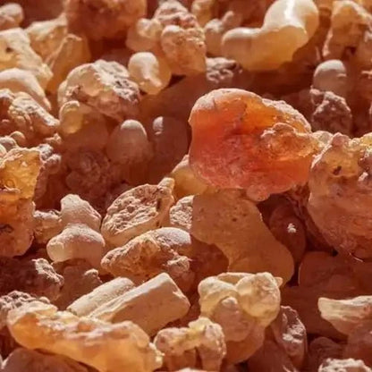 Guggul Liquid Extract (Water Soluble) - Commiphora wightii | Indian Bdellium - Bulk Supplier India