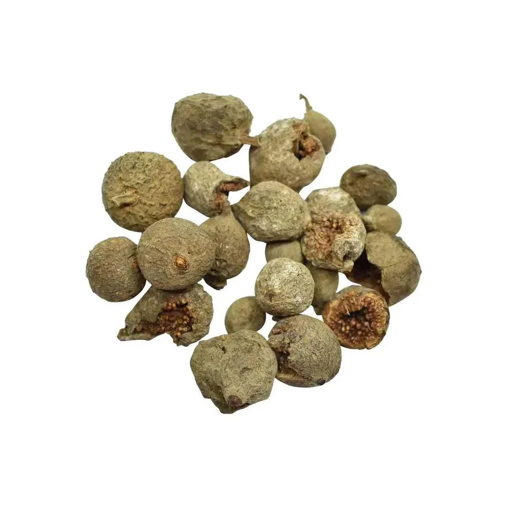Gular Extract Powder - Ficus racemosa - Bulk Supplier India