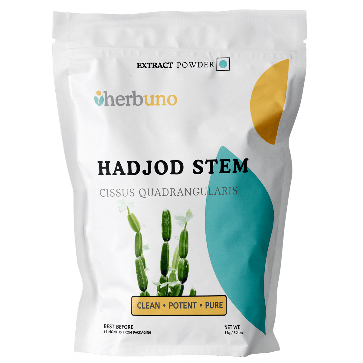 Hadjod Extract Powder - Cissus quadrangularis - Bulk Supplier India
