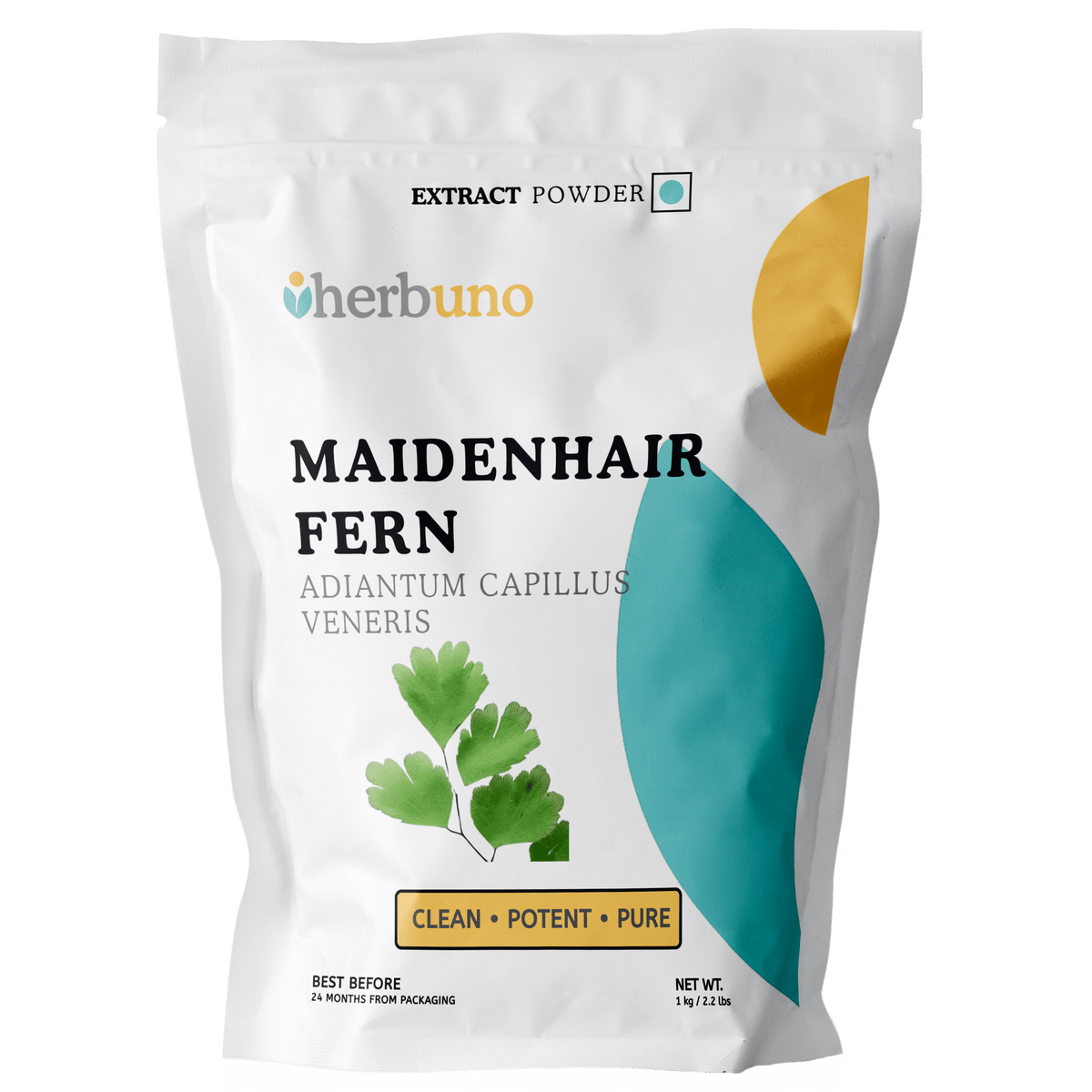 Hansraj Leaf Extract Powder - Adiantum Capillus Veneris - Bulk Supplier India