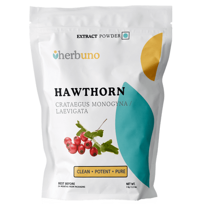 Hawthorn Extract Powder - Bulk Supplier India