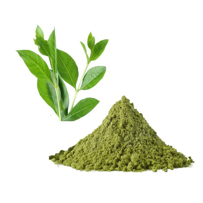 Henna Liquid Extract (Water Soluble) - Lawsonia inermis| Mehndi Ras - Bulk Supplier India