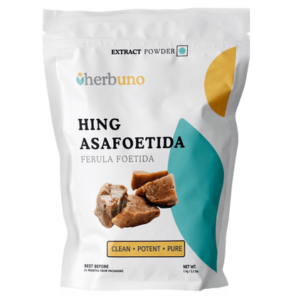 Hing Extract Powder - Asafoetida - Ferula foetida - Bulk Supplier India