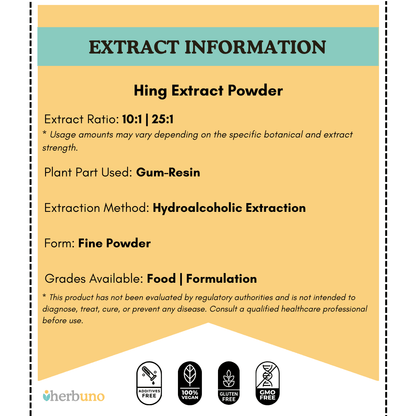 Hing Extract Powder - Asafoetida - Ferula foetida - Bulk Supplier India
