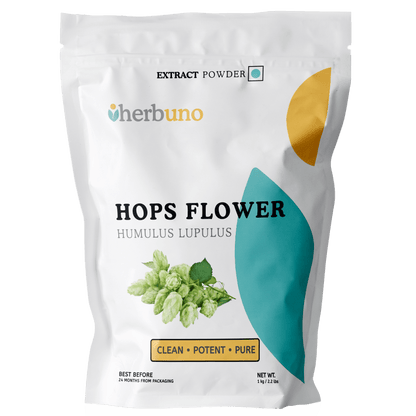 Hops Flower Extract Powder - Humulus lupulus - Bulk Supplier India