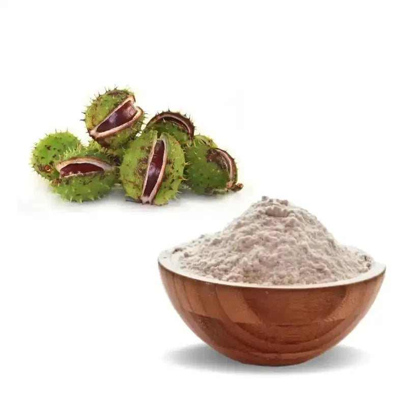 Horse Chestnut Extract Powder - Bulk Supplier India