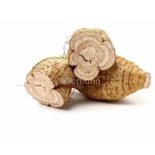Indian Kudzu Liquid Extract (Water Soluble) - Pueraria tuberosa| Vidarikand Ras - Bulk Supplier India